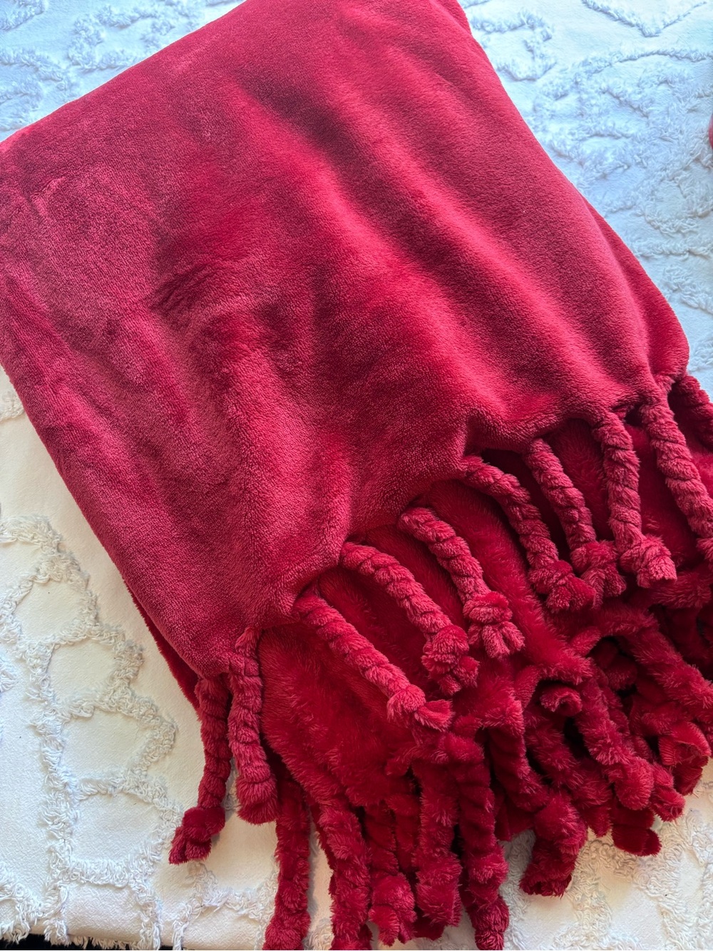 Pier 1 super soft tassel throw
